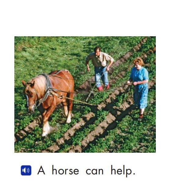 Animals help绘本故事第4页