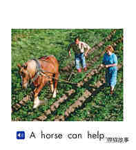 Animals help绘本故事第4页