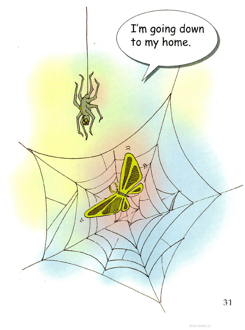 Spider Webs绘本故事第3页