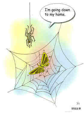Spider Webs绘本故事第3页