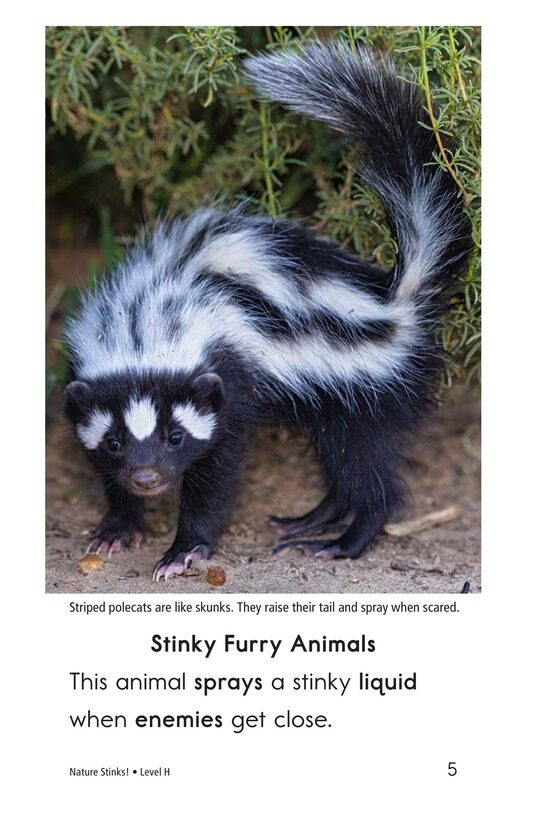 Nature Stinks!绘本故事第4页