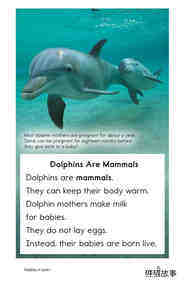 Dolphins绘本故事第4页