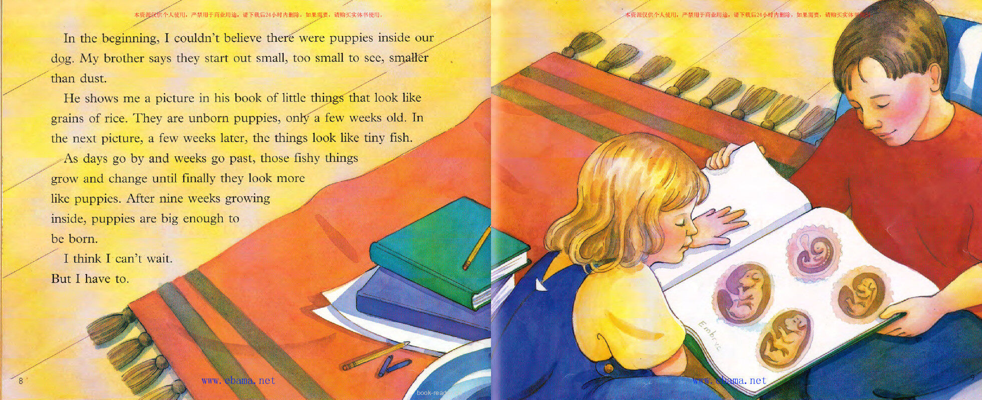 Our Puppies Are Growing绘本故事第5页