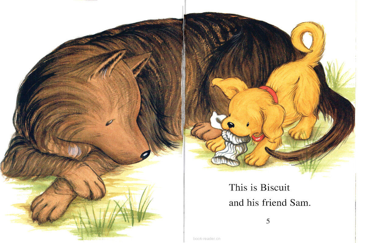 Biscuit’s Big Friend绘本故事第3页