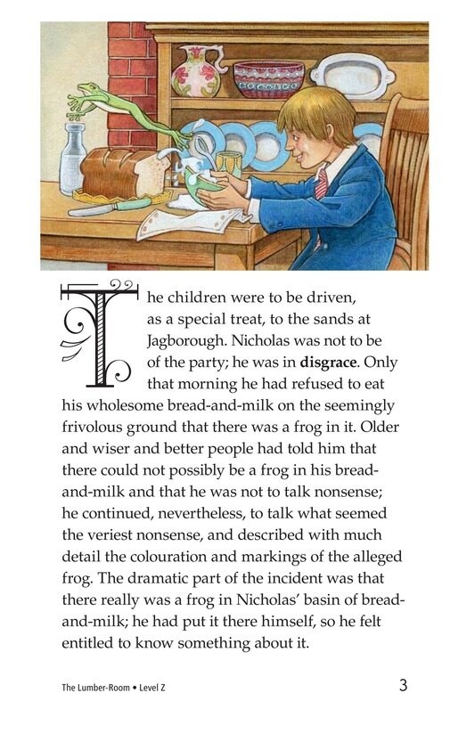 The Lumber Room绘本故事第3页