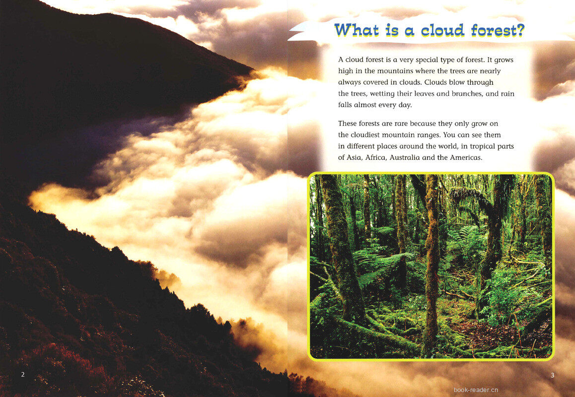 Cloud Forest绘本故事第3页