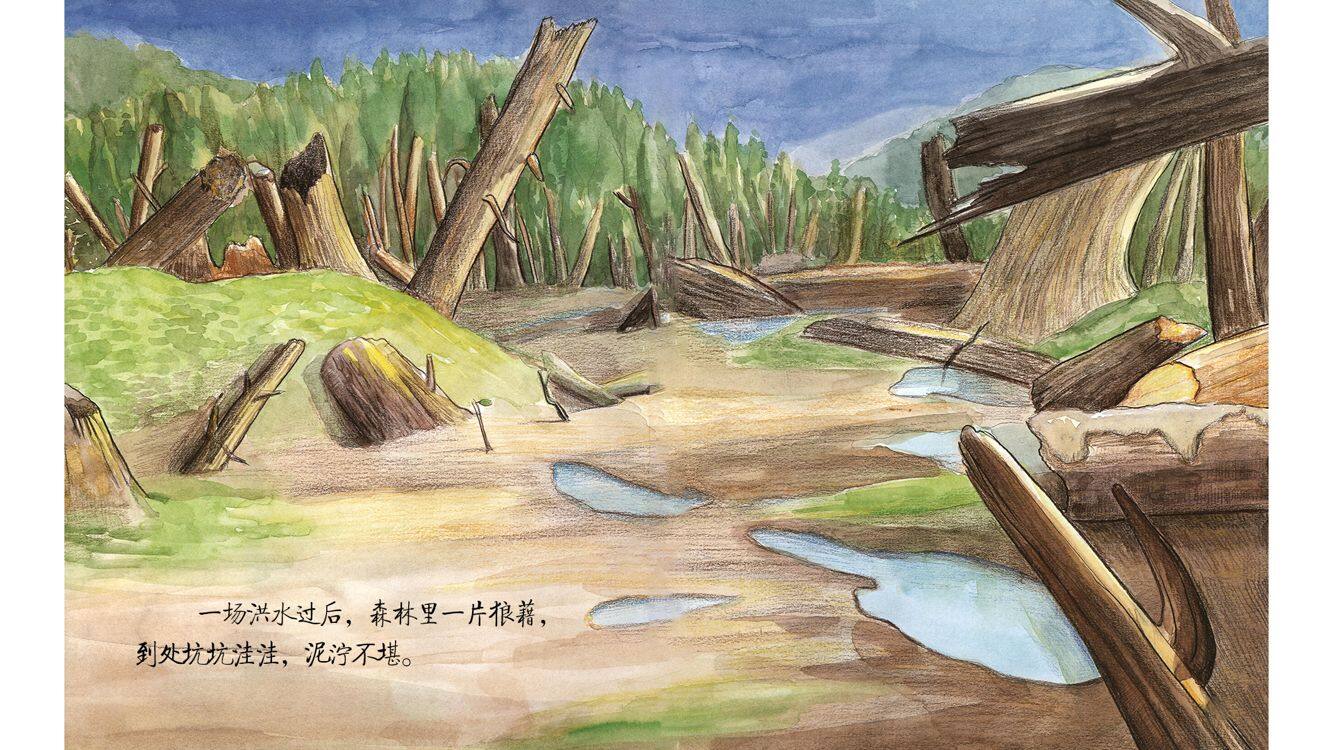 从小有担当绘本故事第3页