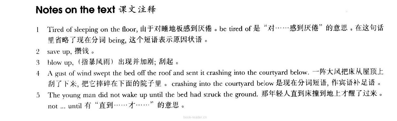 49 The end of a dream绘本故事第4页