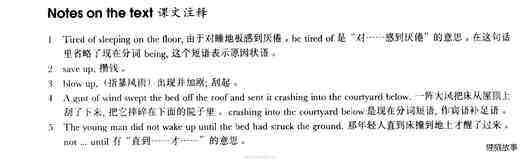 49 The end of a dream绘本故事第4页