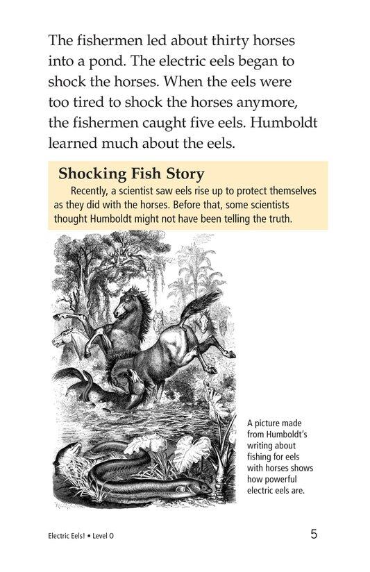 Electric Eels!绘本故事第4页