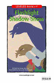 Flashlight Shadow Show