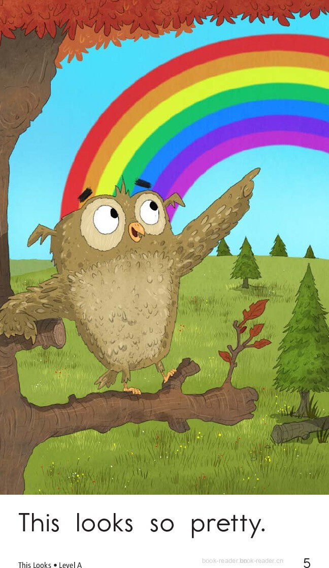 This looks绘本故事第5页