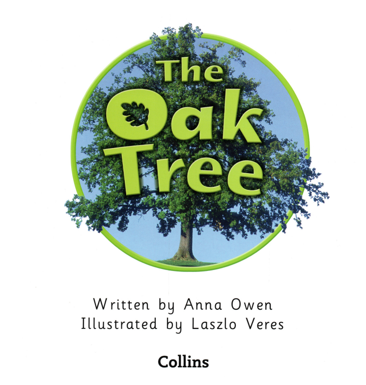 The Oak Tree绘本故事第2页