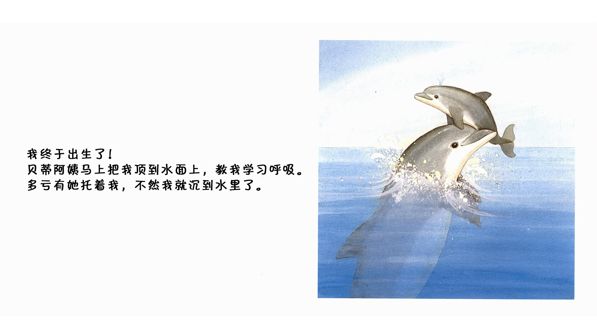 海豚绘本故事第5页