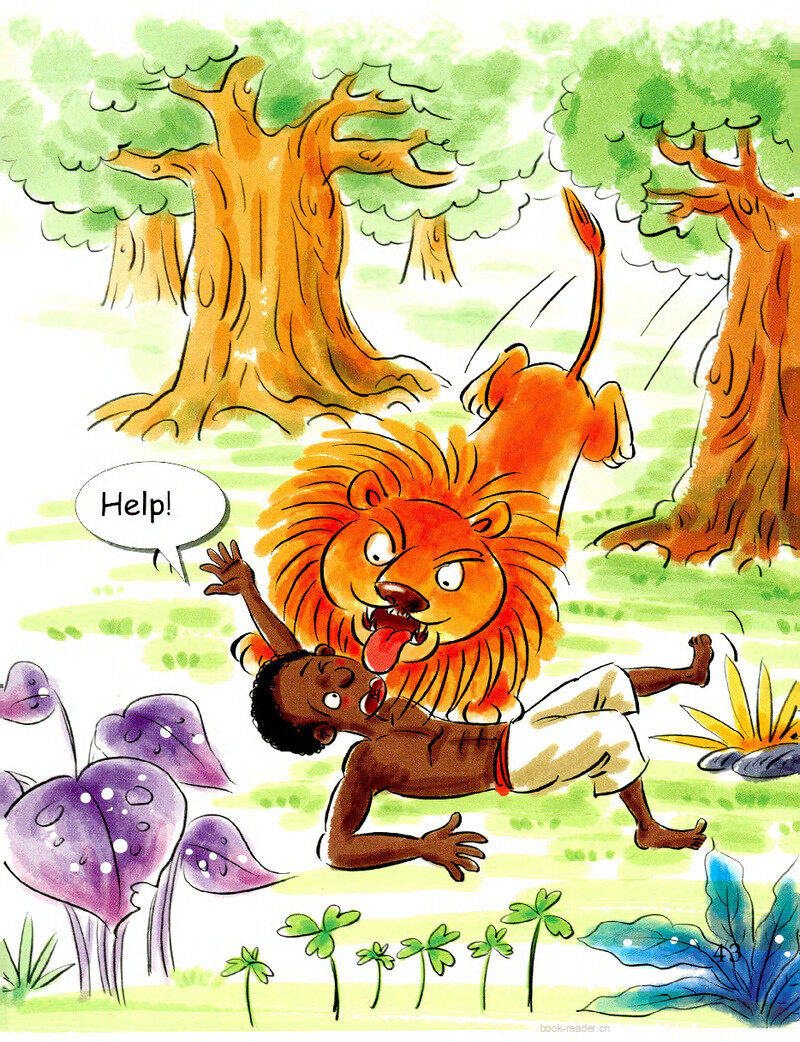 The Little Lion绘本故事第3页