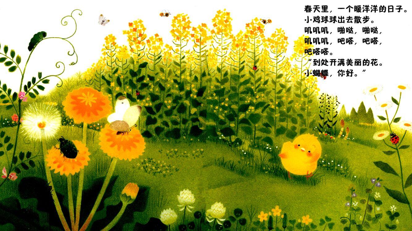 小鸡球球和向日葵绘本故事第4页