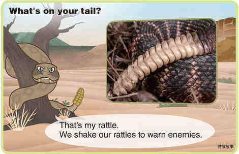 Rattlesnake绘本故事第5页