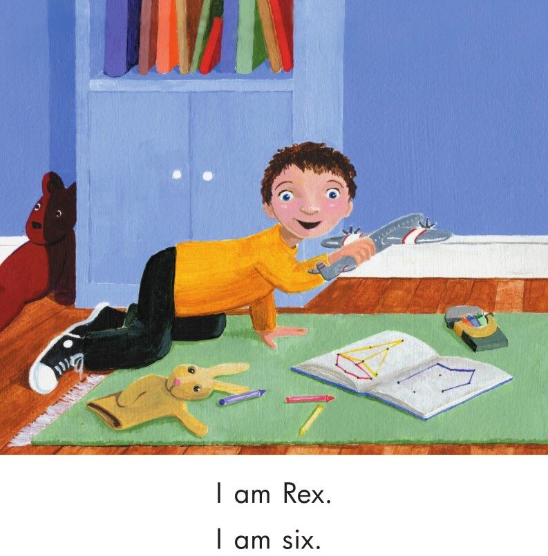 Box for Rex绘本故事第3页