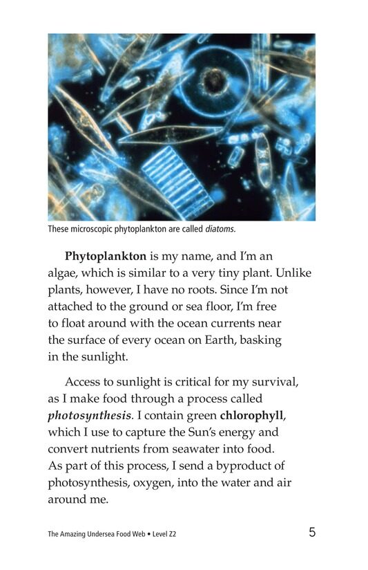 The Amazing Undersea Food Web绘本故事第4页