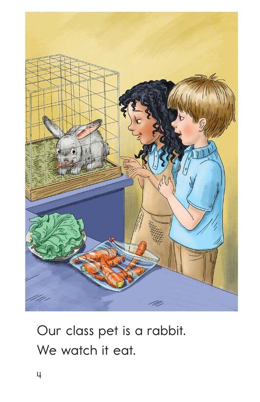 Class Pets绘本故事第4页