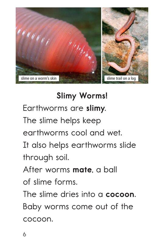 Wiggly Worms绘本故事第5页