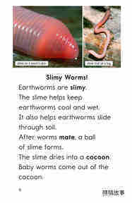 Wiggly Worms绘本故事第5页