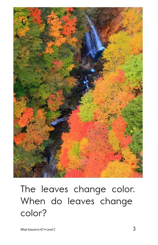 What Season Is It绘本故事第3页