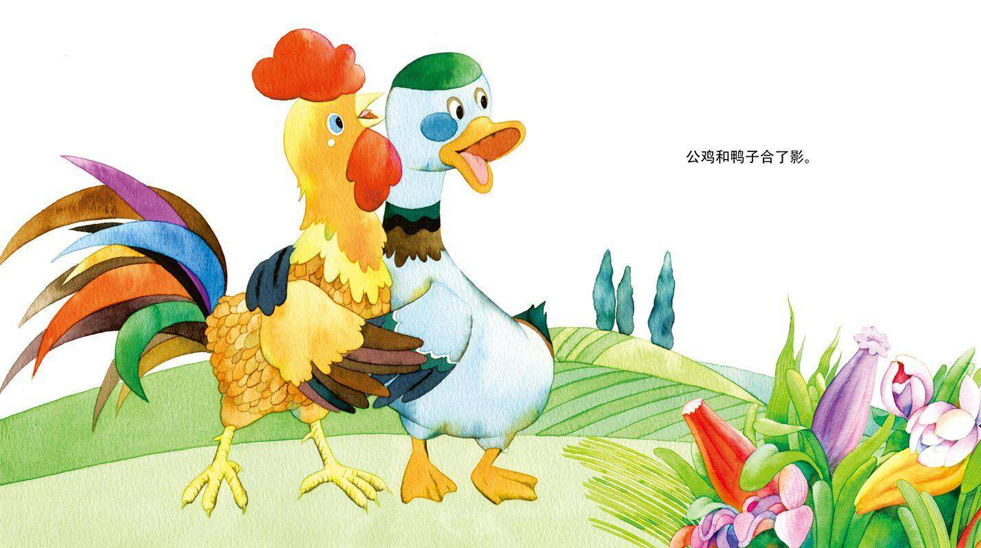 照相绘本故事第3页