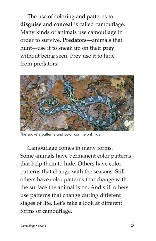 Camouflage绘本故事第4页