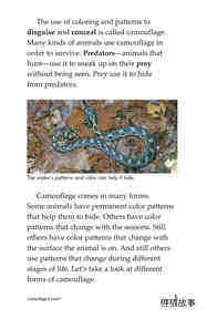 Camouflage绘本故事第4页