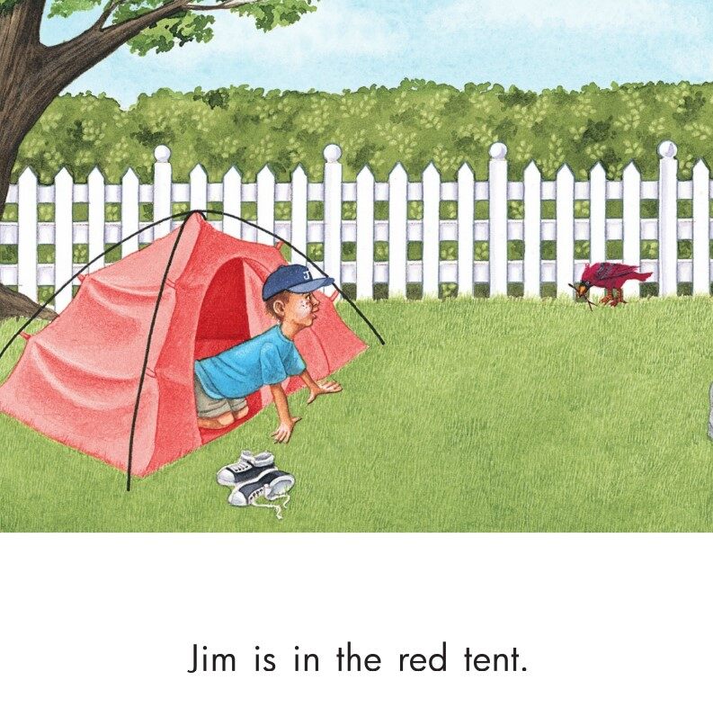 Look at the Red Bird绘本故事第3页