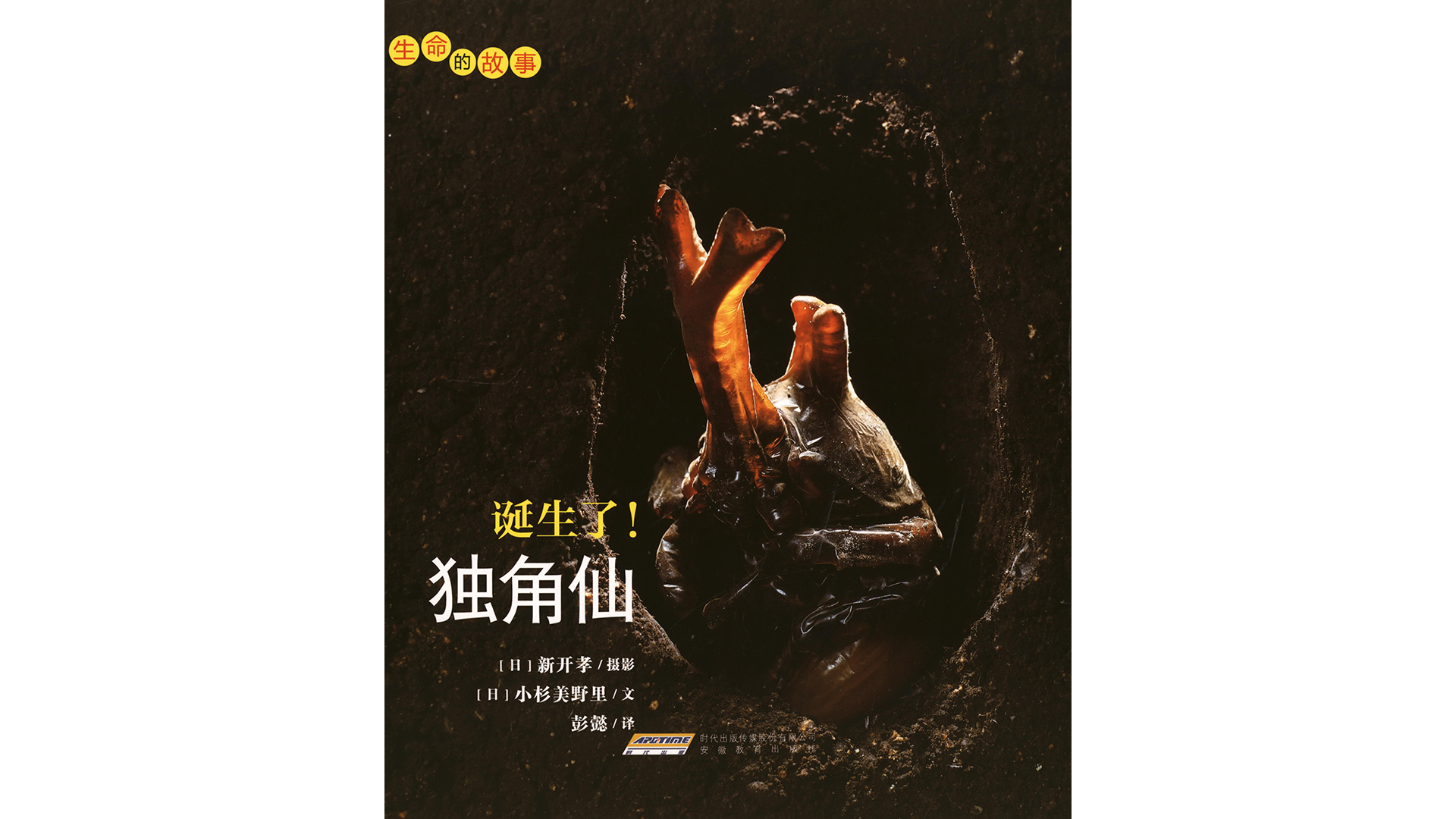 诞生了！独角仙绘本故事第2页