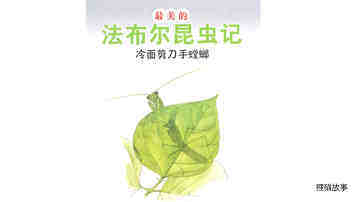 冷面剪刀手螳螂绘本故事第2页