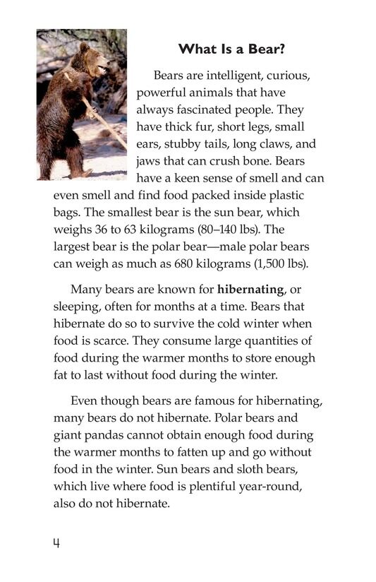 Bears绘本故事第3页