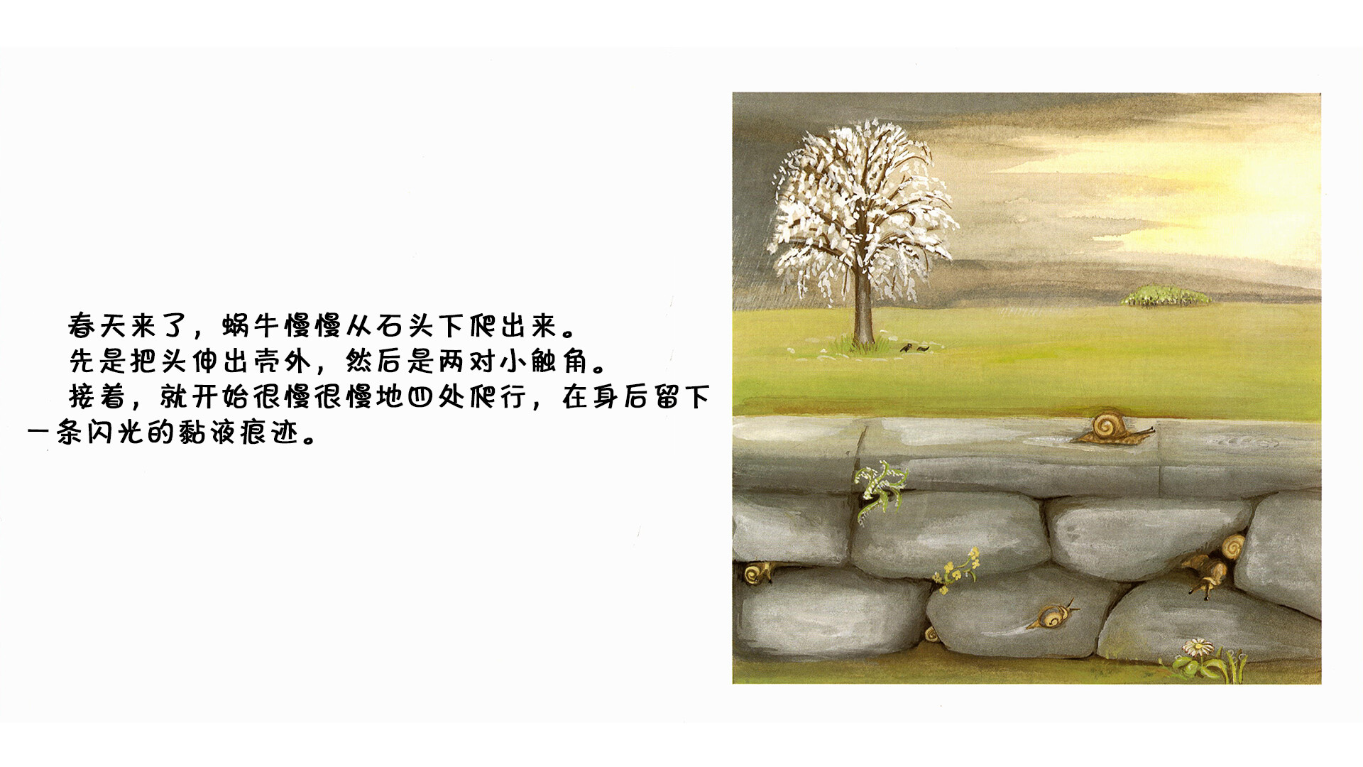 蜗牛绘本故事第3页