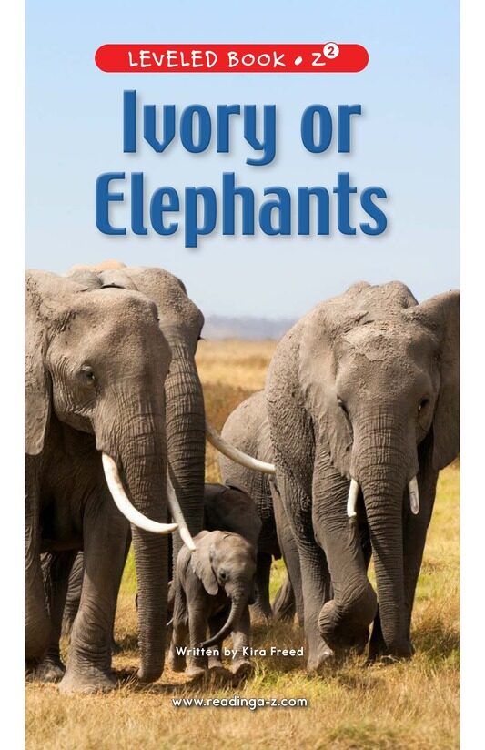 Ivory or Elephants绘本故事第2页