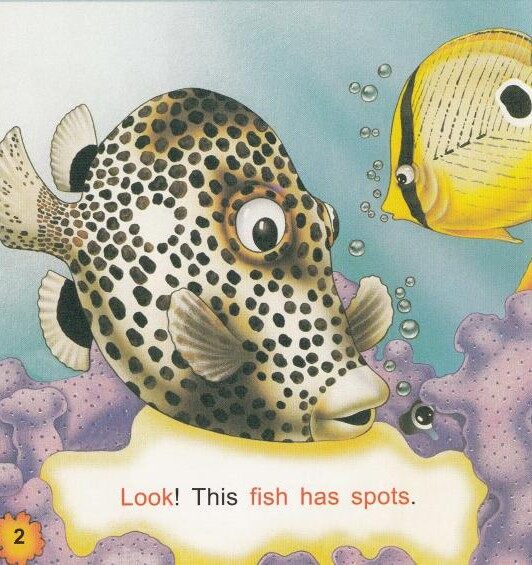 Look out绘本故事第3页