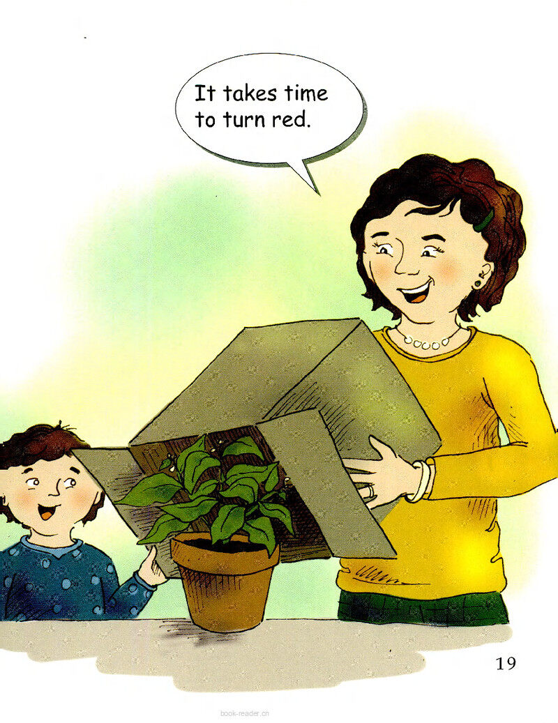 The Red Plant绘本故事第3页