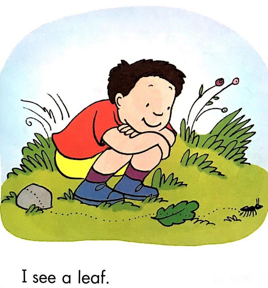 What can I see绘本故事第4页