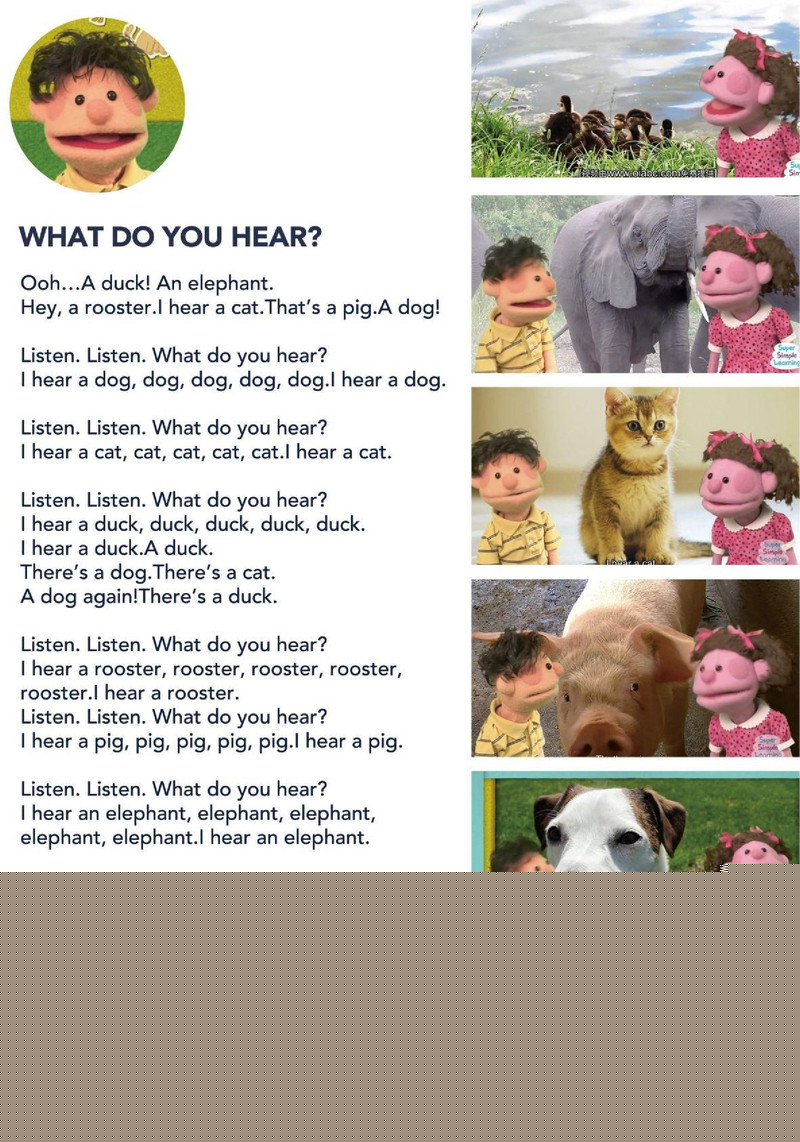 What Do You Hear绘本故事第2页