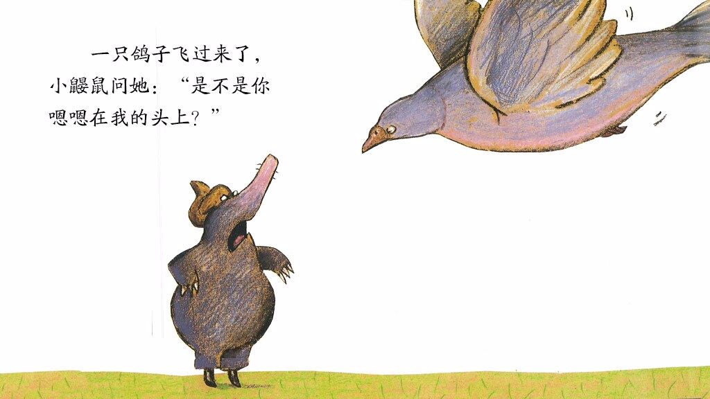 是谁嗯嗯在我的头上绘本故事第5页