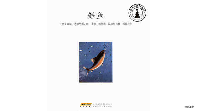鲑鱼绘本故事第2页