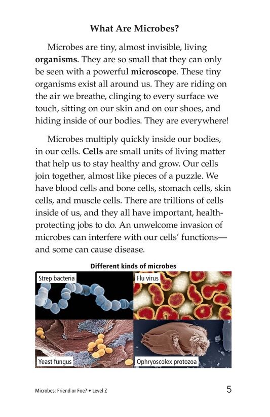 Microbes Friend or Foe绘本故事第4页