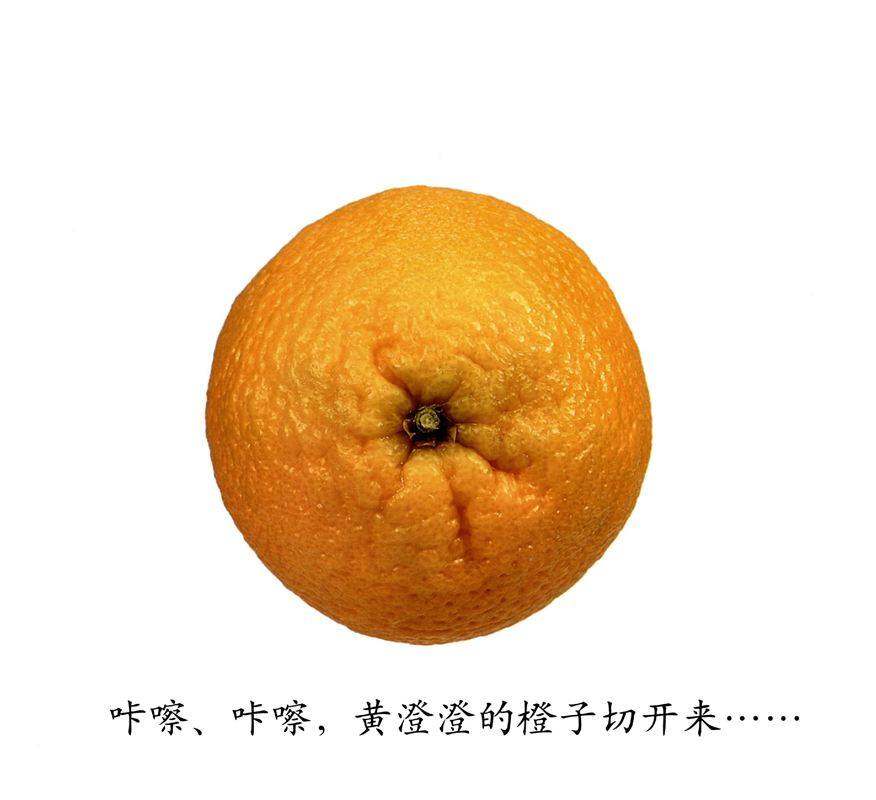 咔嚓咔嚓绘本故事第4页