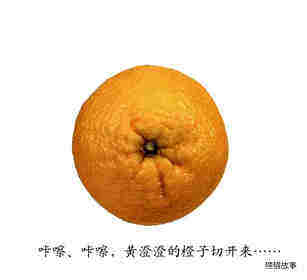 咔嚓咔嚓绘本故事第4页
