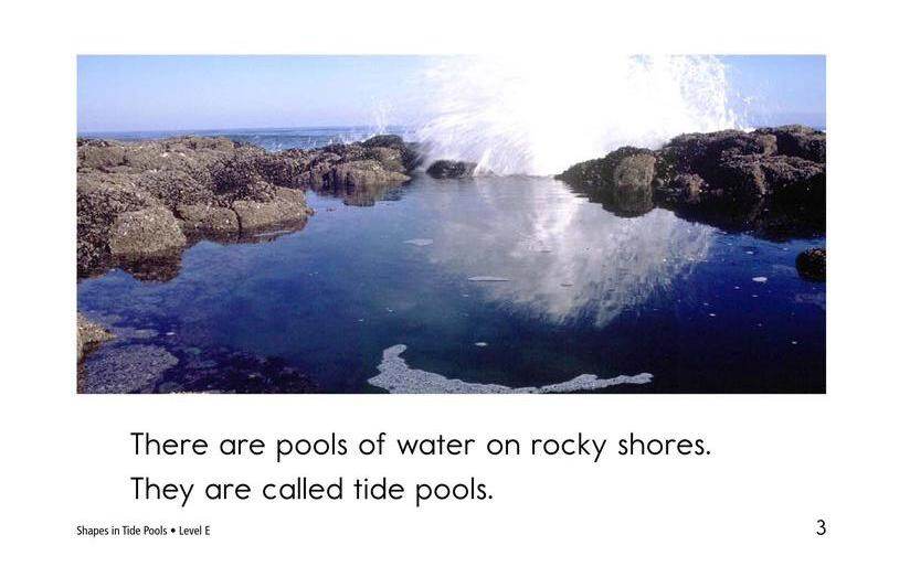 Shapes in Tide Pools绘本故事第3页