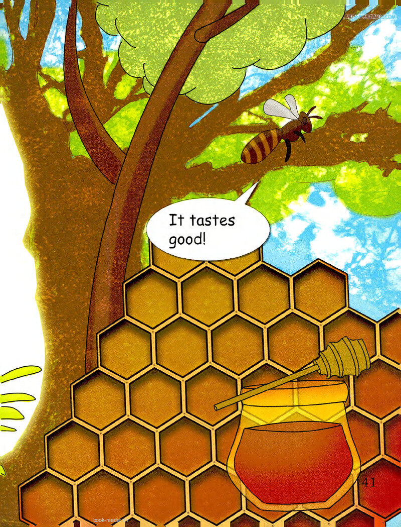 Honey绘本故事第3页