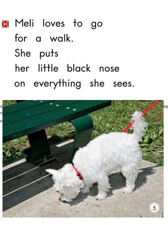 A walk with Meli绘本故事第5页