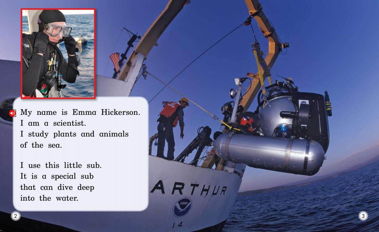 Into the Sea绘本故事第3页