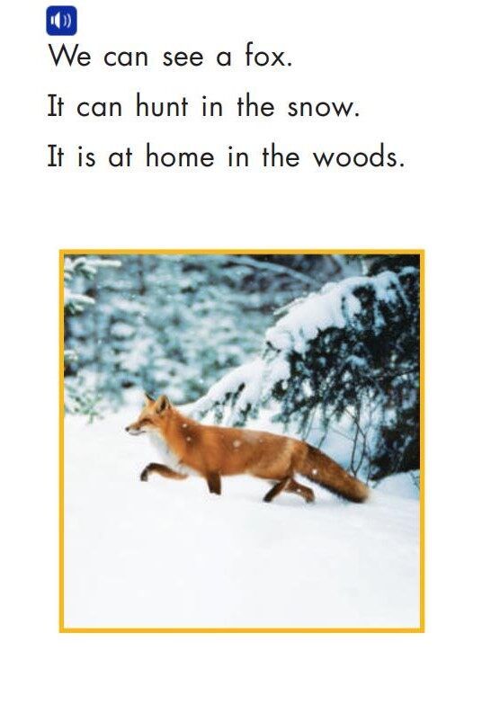 Will We See Animals绘本故事第5页